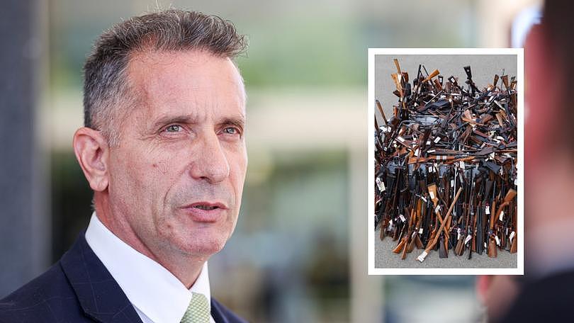 Gun owners could soon be required to declare if they have diabetes in order to obtain or keep their hands on a firearm. Pictured: Police Minister Paul Papalia.