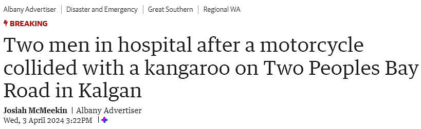 西澳70岁大爷骑车撞上袋鼠，受重伤送院（图） - 1