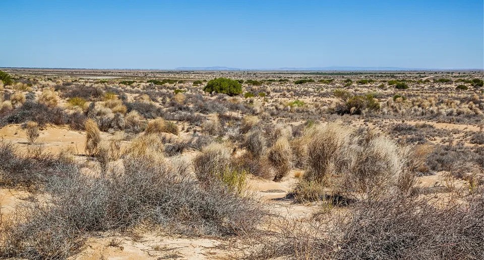 The Strzelecki Desert in South Australia.
