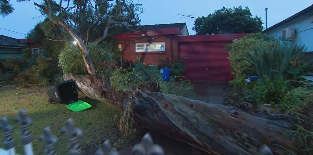 狂风暴雨席卷新州！气象局发布强雷暴预警，悉尼多地民众需做好撤离准备（组图） - 6