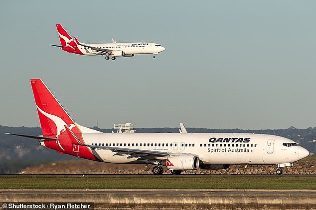 A Qantas spokeswoman said 'takes the safety and welfare of pets travelling with us very seriously' (stock image)