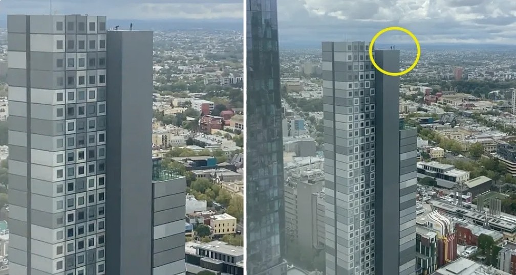 澳男上班时往窗外一看，当场吓傻！2人在40层高楼玩滑板，“看着都害怕”（组图） - 2