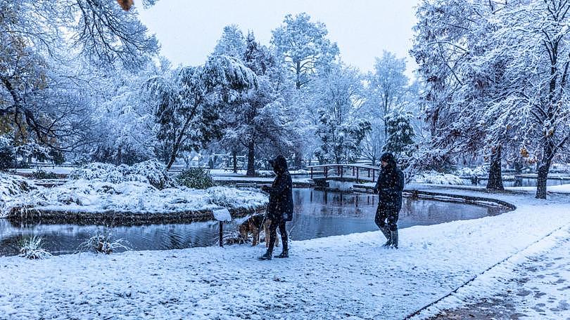 新南威尔士州， 雪， 橙色， 西部， 寒冷， 冰冻， 冬季， 巴瑟斯特