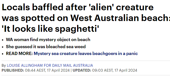 西澳海滩惊现“外星生物”，网友：又多一个不去澳洲的理由（组图） - 1