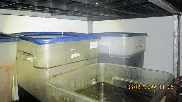 多处发现老鼠屎及霉菌！澳中餐馆违反食品卫生规定，重罚$2.5万（组图） - 5
