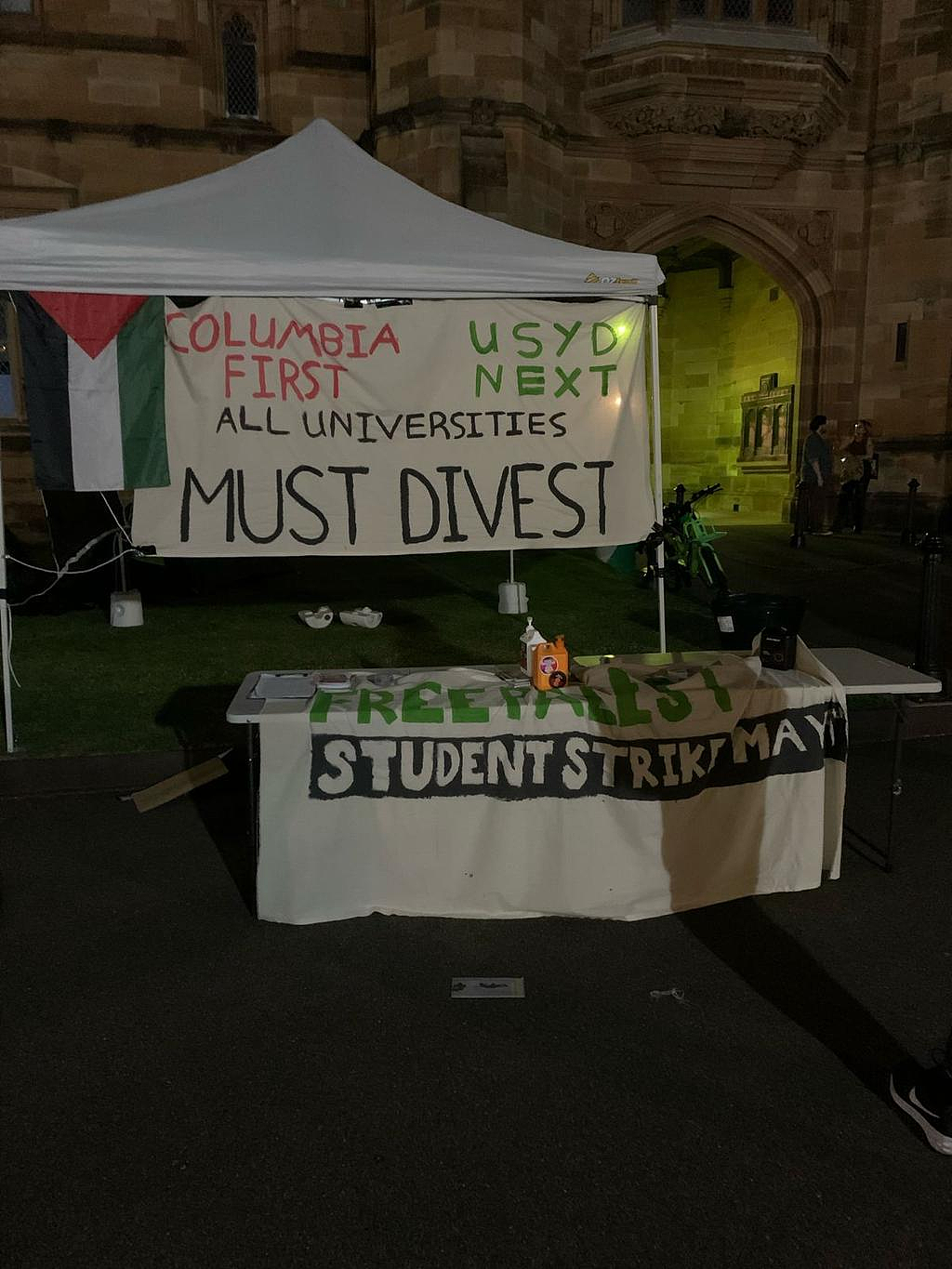 美国高校亲巴运动蔓延至澳洲！悉尼大学出现“加沙团结营地”，绿党议员表支持（组图） - 5