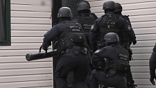 悉尼警方展开大规模反恐突袭行动！7名青少年被捕