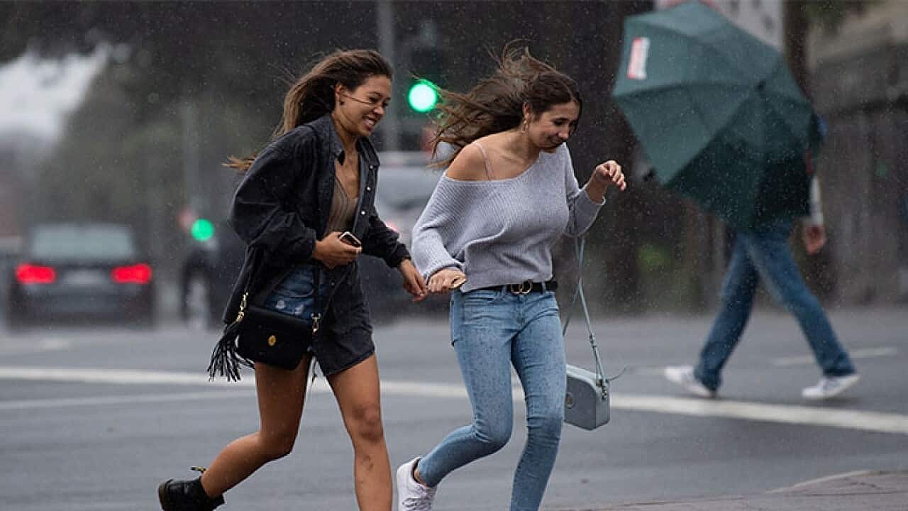 雪梨天氣再突變！驟雨及低溫將維持一星期| SBS Chinese