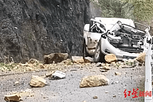 3死1伤！四川马边县一辆皮卡车被落石砸中，官方：伤者情况平稳（视频/组图）