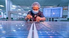 澳洲太阳能科技”墙内开花墙外香”，未来产业发展依赖中国“反哺”（视频/组图）