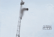 河南一女子裸体爬上电线塔，后从塔上一跃而下！官方通报：抢救无效死亡！目击者透露细节...（视频/组图）