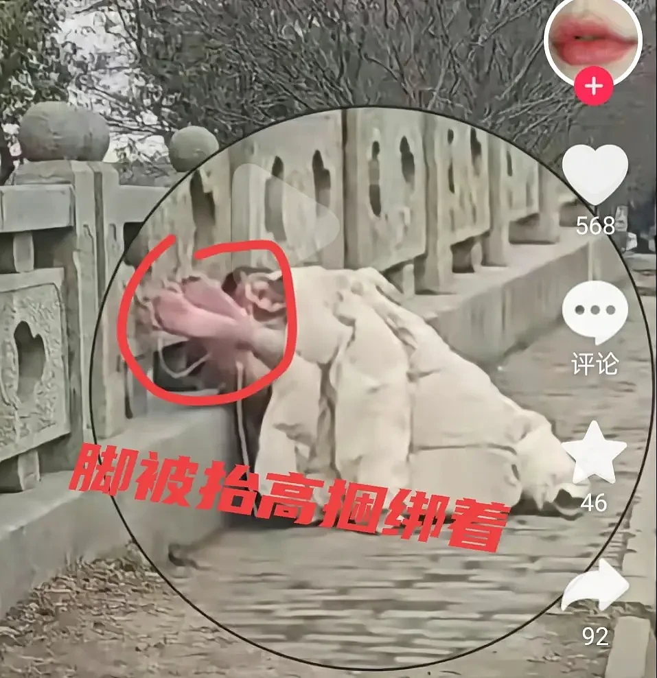 苏州一女子被扒光捆绑桥上， 当小三被抓遭毒打伤重（视频/组图） - 2