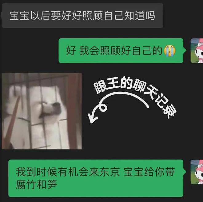 王思聪与新女友同游日本，女方酷似周扬青，00后女友已官宣分手（组图） - 14