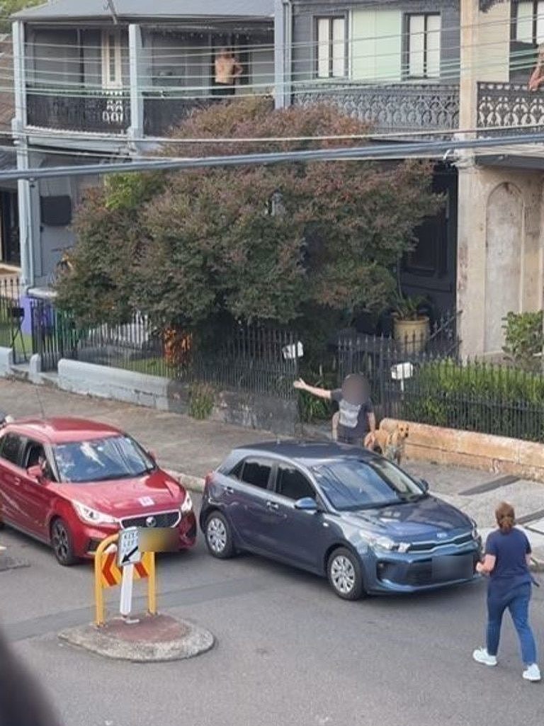 A man walking his dog began shouting at the drive to move. Picture: Instagram@browncardigan
