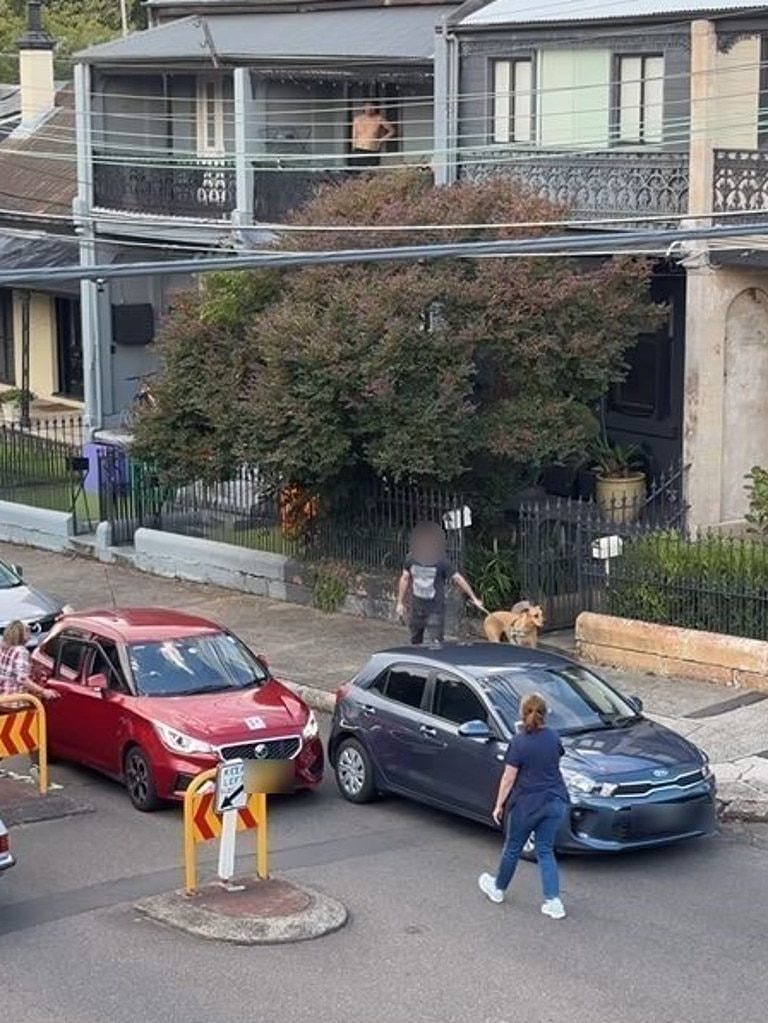 The car had stopped on a street in Enmore, in Sydney’s inner west. Picture: Instagram@browncardigan