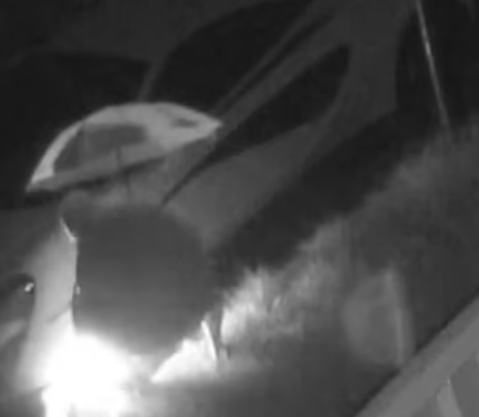 迈凯伦超跑在悉尼街头被焚！纵火者作案过程曝光，车主购入仅1年（视频/组图） - 3