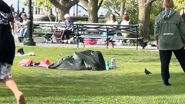 美国网友在公园拍到男女毯下激战，视频疯传后，大家决心找出他们...（视频/组图） - 4