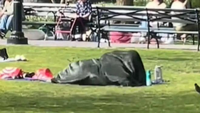 美国网友在公园拍到男女毯下激战，视频疯传后，大家决心找出他们...（视频/组图） - 5