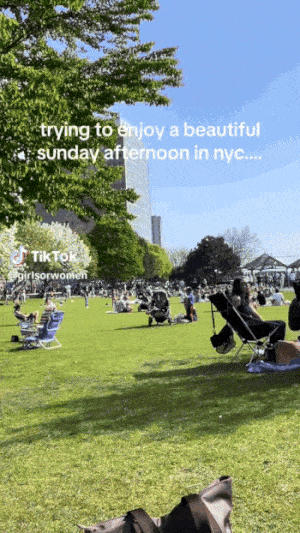 美国网友在公园拍到男女毯下激战，视频疯传后，大家决心找出他们...（视频/组图） - 2