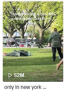 美国网友在公园拍到男女毯下激战，视频疯传后，大家决心找出他们...（视频/组图） - 8