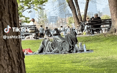 美国网友在公园拍到男女毯下激战，视频疯传后，大家决心找出他们...（视频/组图） - 18