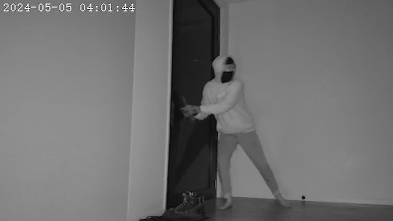 澳teenager团伙持刀入室抢劫，多个城区遭殃！1人被捕，另外5人在逃（视频/组图） - 2