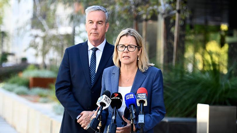 Concerns raised by Rossmoyne Senior High School parents over the behaviour of a cohort of boys have been “fobbed off” to the Education Department from minister Tony Buti, Liberal leader Libby Mettam has claimed. 