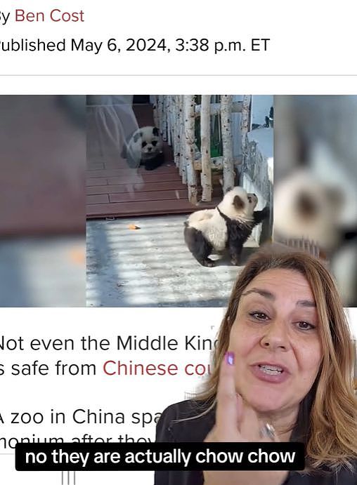笑死！江苏一动物园的熊猫被发现是狗扮的！国外网友笑疯了...（组图） - 7