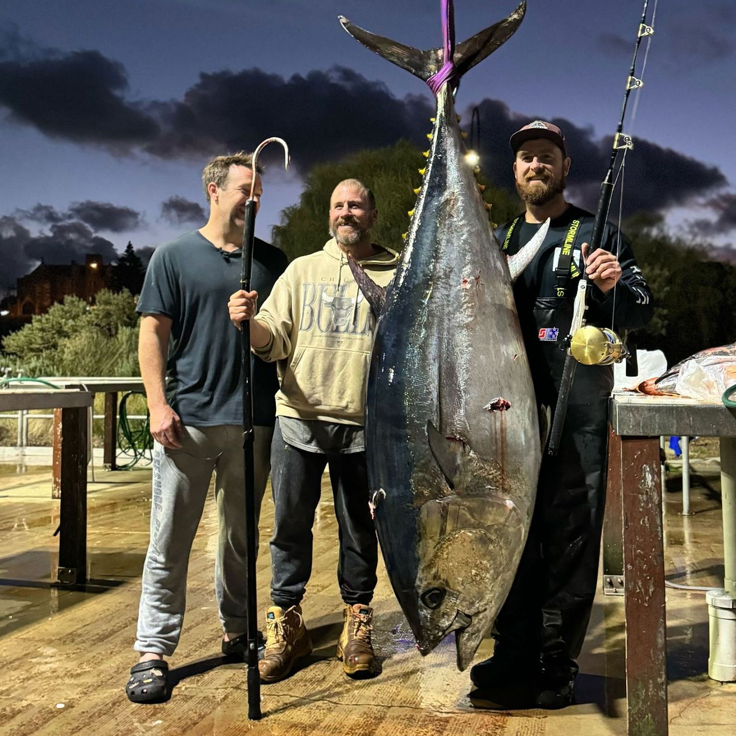 十年一遇！澳男第一次钓鱼，竟钓到超大金枪鱼，重量达165kg，友人惊呆...（组图） - 2