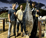 十年一遇！澳男第一次钓鱼，竟钓到超大金枪鱼，重量达165kg，友人惊呆...（组图）