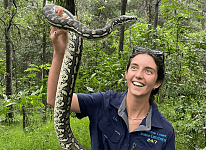 开门惊见“大蛇在梁上大便”！罕见画面震惊澳洲网友：也太大了吧？（组图）