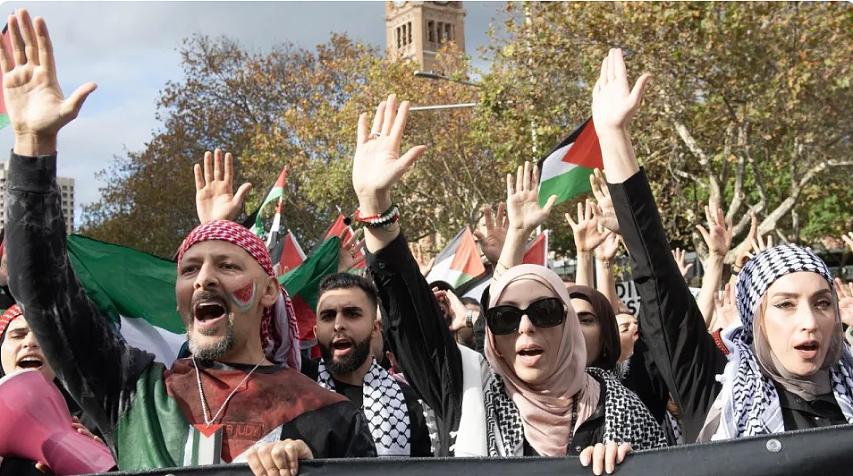 今天，悉墨爆发千人游行！抗议者吁以色列取消进攻加沙城市（组图） - 8