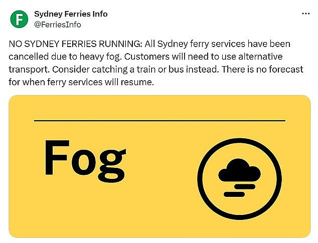 ydney Ferries announced the news on social media channels, providing no forecast for when services will resume