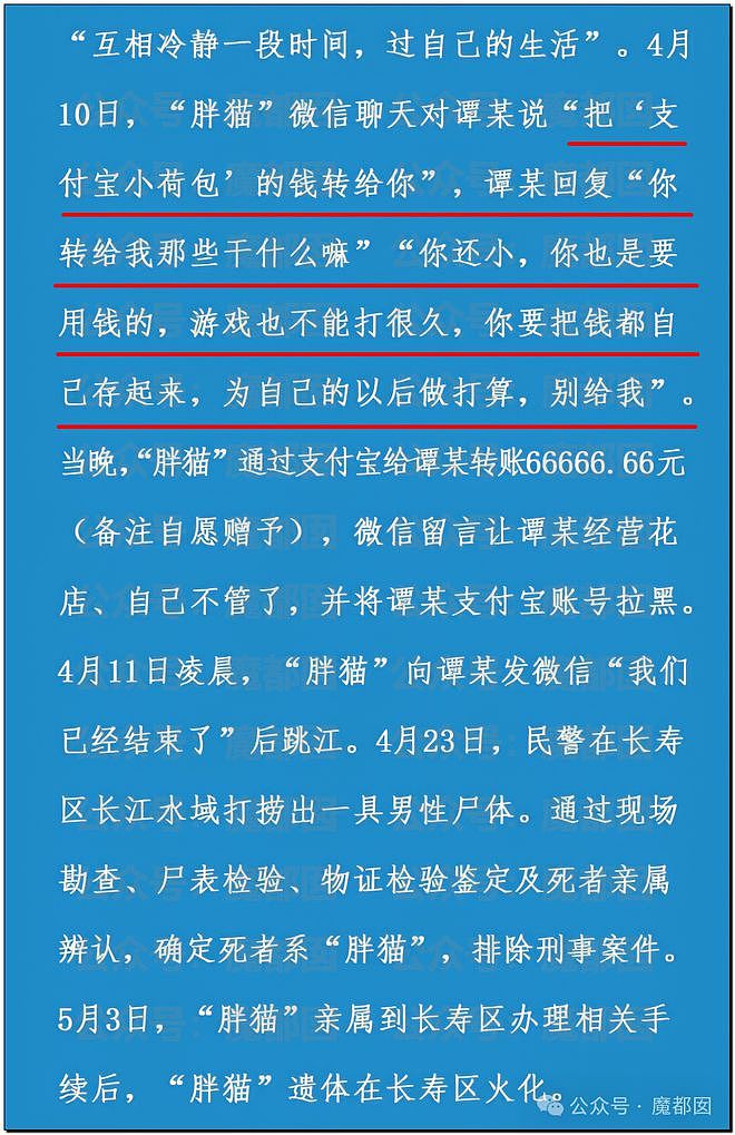 热搜第一！重庆警方发长文通报“胖猫事件”，细节引发巨大争议（组图） - 16