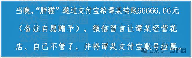 热搜第一！重庆警方发长文通报“胖猫事件”，细节引发巨大争议（组图） - 18