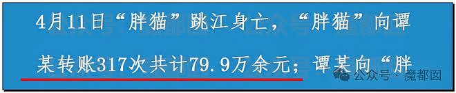 热搜第一！重庆警方发长文通报“胖猫事件”，细节引发巨大争议（组图） - 20