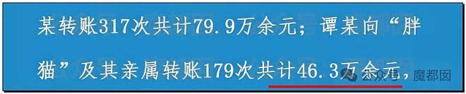热搜第一！重庆警方发长文通报“胖猫事件”，细节引发巨大争议（组图） - 21