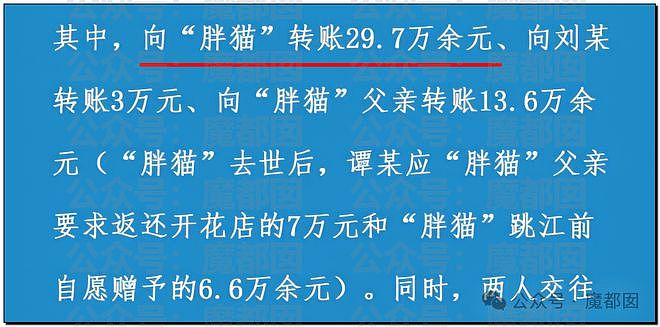 热搜第一！重庆警方发长文通报“胖猫事件”，细节引发巨大争议（组图） - 22