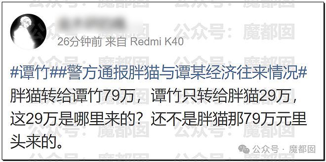 热搜第一！重庆警方发长文通报“胖猫事件”，细节引发巨大争议（组图） - 30