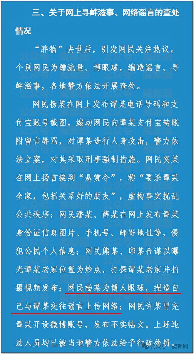 热搜第一！重庆警方发长文通报“胖猫事件”，细节引发巨大争议（组图） - 33