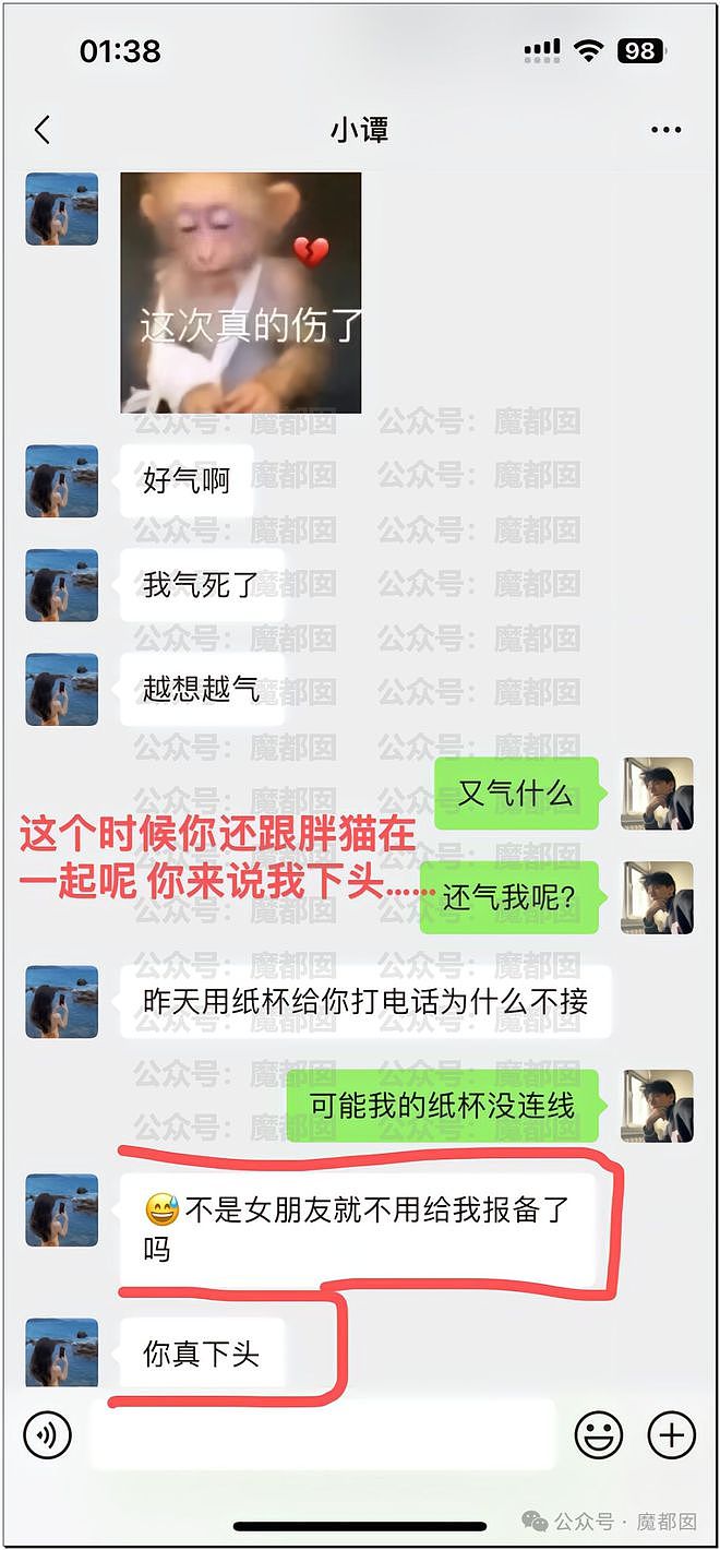 热搜第一！重庆警方发长文通报“胖猫事件”，细节引发巨大争议（组图） - 49