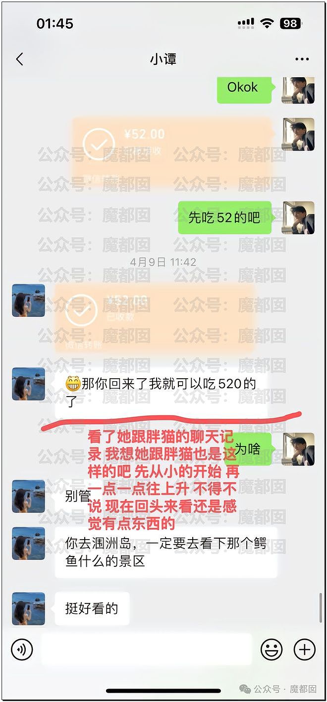 热搜第一！重庆警方发长文通报“胖猫事件”，细节引发巨大争议（组图） - 55