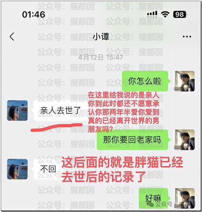 热搜第一！重庆警方发长文通报“胖猫事件”，细节引发巨大争议（组图） - 56