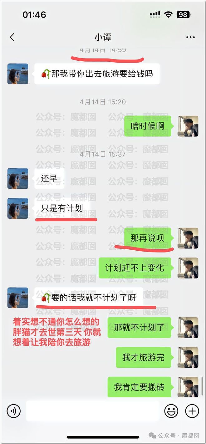 热搜第一！重庆警方发长文通报“胖猫事件”，细节引发巨大争议（组图） - 57