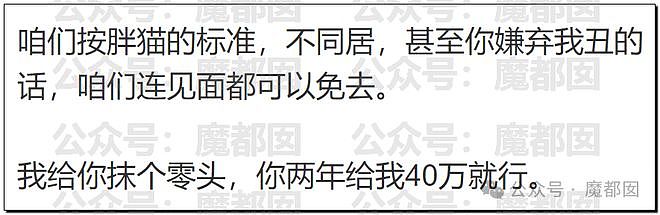 热搜第一！重庆警方发长文通报“胖猫事件”，细节引发巨大争议（组图） - 92