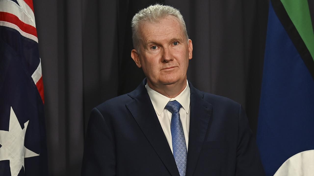 Employment Minister Tony Burke and Labor are facing an unemployment problem. Picture: NCA NewsWire / Martin Ollman