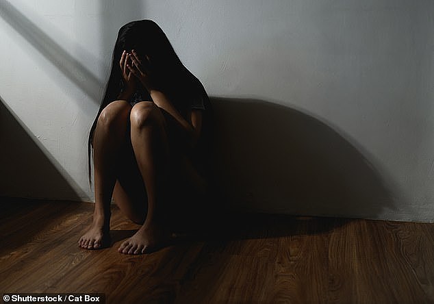The Iranian refugee raped the woman on multiple occasions, in front of her youngest daughter and had also threatened to run her eldest daughter over in a car (stock image)