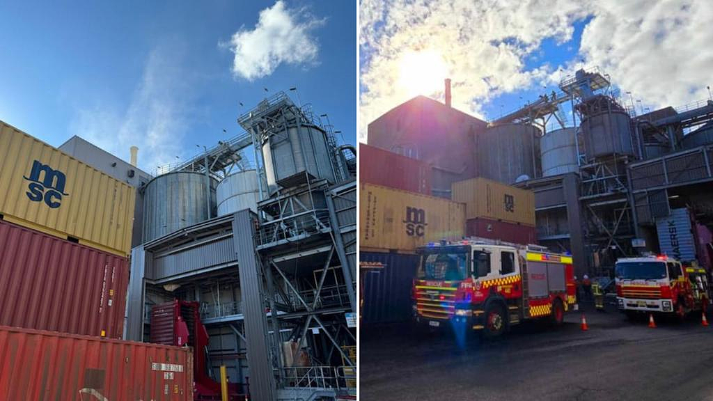 悉尼工厂筒仓起火！15名员工紧急疏散，600吨谷物被毁（图） - 2