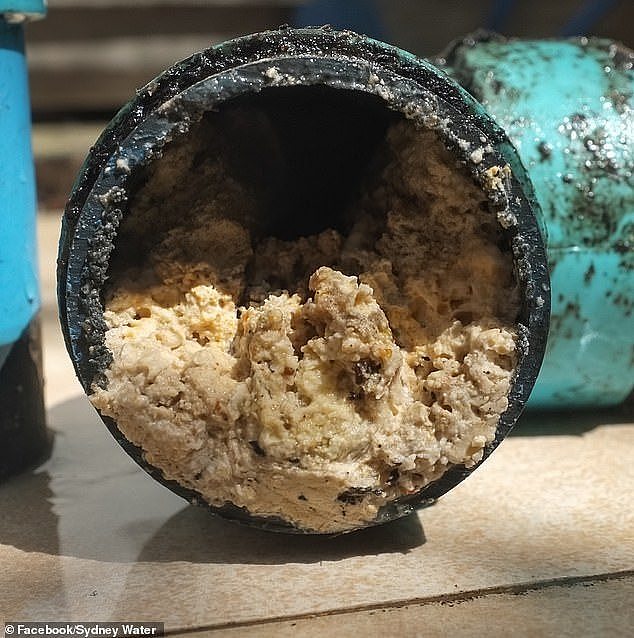 Aussies have been left horrified by an image of a 'fatberg' in a kitchen pipe. Fatbergs are a build-up of cooking oils, fat and grease that have been tipped down the drain