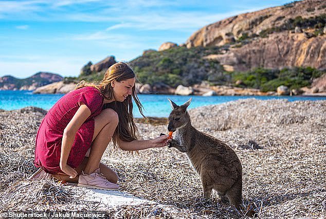 许多人对探索澳大利亚偏远地区以及如何尊重动植物给出了建议：“不要喂食野生动物。这对它们不好。”